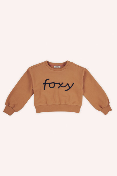 Girl's Embroidered Detail Brick Red Sweatshirt - 3