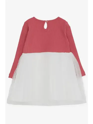 Girls' Long Sleeve Dress Kitten Embroidered Brick (1.5-3 Years)-Brown - LC WAIKIKI (1)