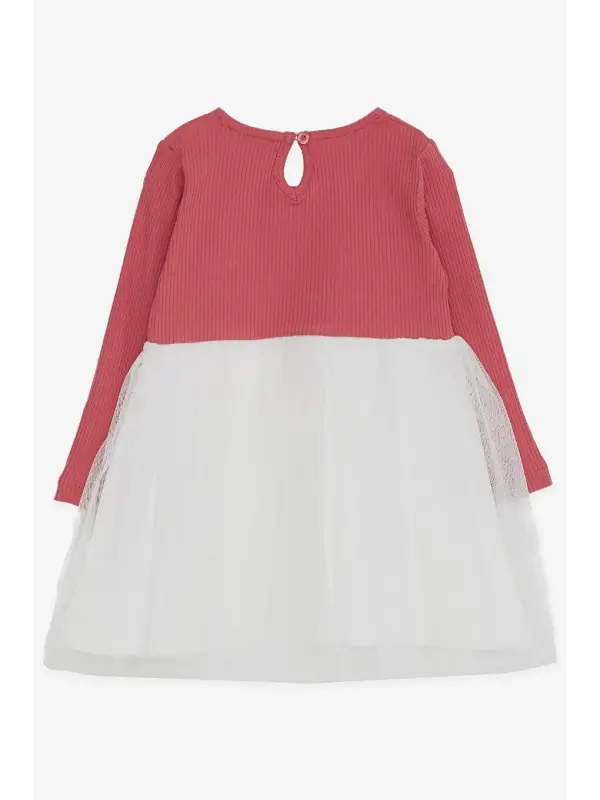 Girls' Long Sleeve Dress Kitten Embroidered Brick (1.5-3 Years)-Brown - 2