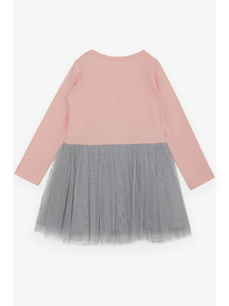 Girls' Long Sleeve Dress with Tulle, Printed, Powder (1.5-5 Years) - 2