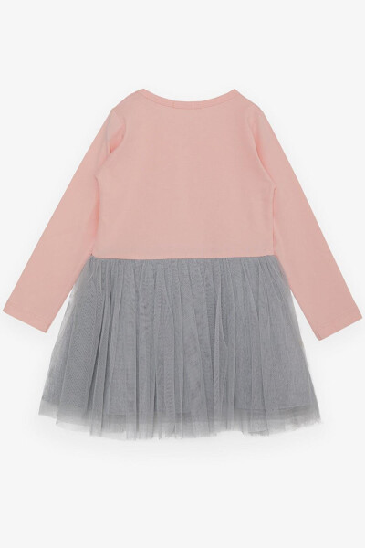 Girls' Long Sleeve Dress with Tulle, Printed, Powder (1.5-5 Years) - 6