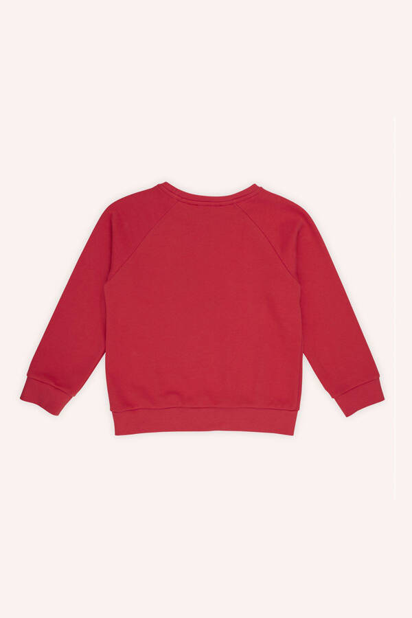 Girl's Red Sweatshirt with Embroidery Detail-005 - 5