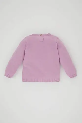 Girl's Regular Fit Crew Neck Sweater - 5