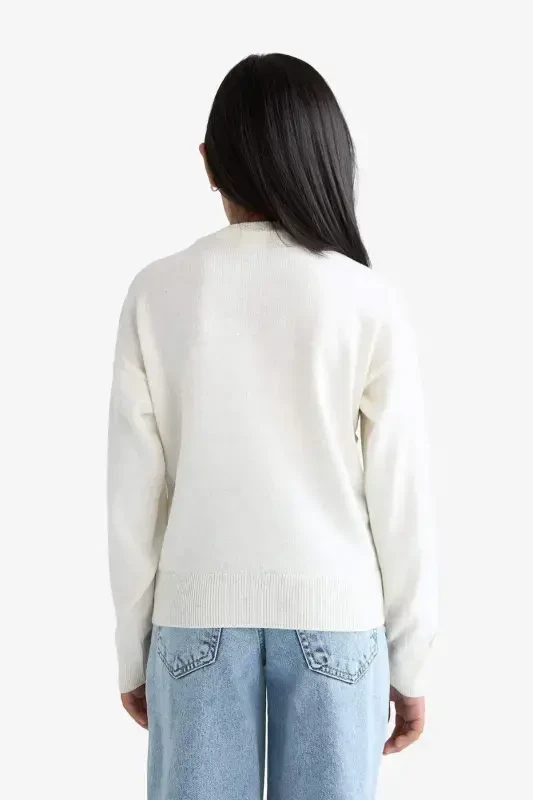 Girls' Standard Fit Crew Neck Sweater C6902A824AU - 6