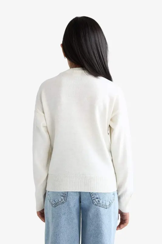 Girls' Standard Fit Crew Neck Sweater C6902A824AU - 6
