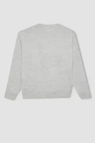 Girls Standard Fit Crew Neck Sweater C6902A824AU - 6