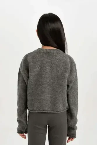 Girls' Standard Fit Crew Neck Sweater C6908A824AU - 6