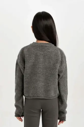 Girls' Standard Fit Crew Neck Sweater C6908A824AU - 6