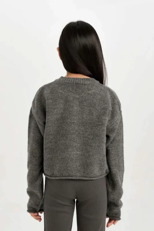 Girls' Standard Fit Crew Neck Sweater C6908A824AU - 6