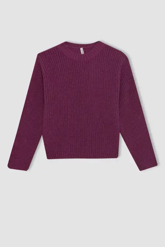 Girls' Standard Fit Crew Neck Sweater C6909A824AU - 7