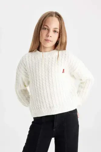 Girls Standard Fit Crew Neck Sweater C6973A824AU - 7