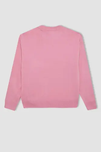 Girls' Standard Fit Crewneck Sweater C6902A824AU - 3