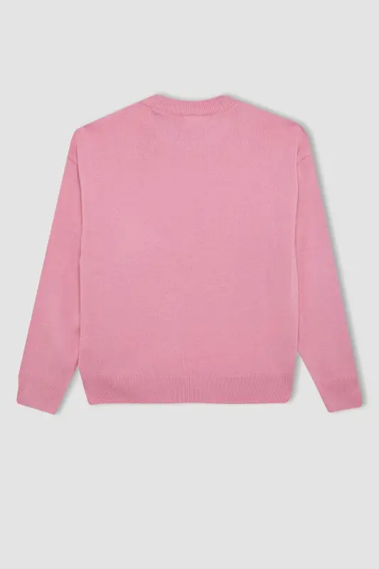 Girls' Standard Fit Crewneck Sweater C6902A824AU - 3