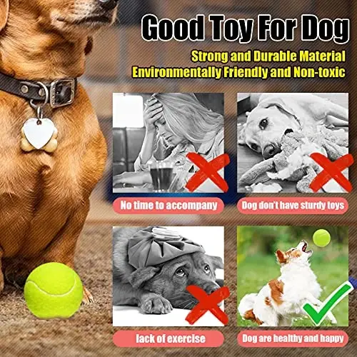 GKK Dayanıklı Basınçlı Tenis Topları - 12'li Paket Sarı Keçe Başlangıç ​​Seviyesi ve Köpekler için Antrenman Topları - 6
