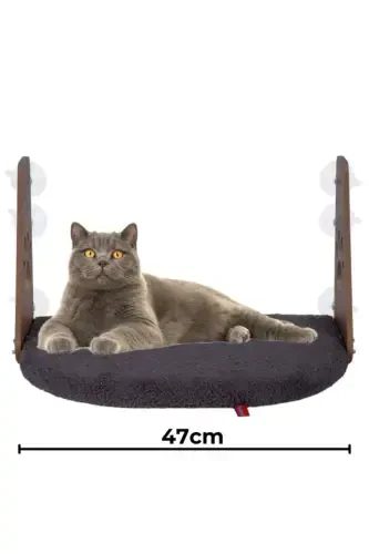 Glass Bed Suction Cup Cat Glass Bed Suction Cup Bed Anthracite-Anthracite - 1