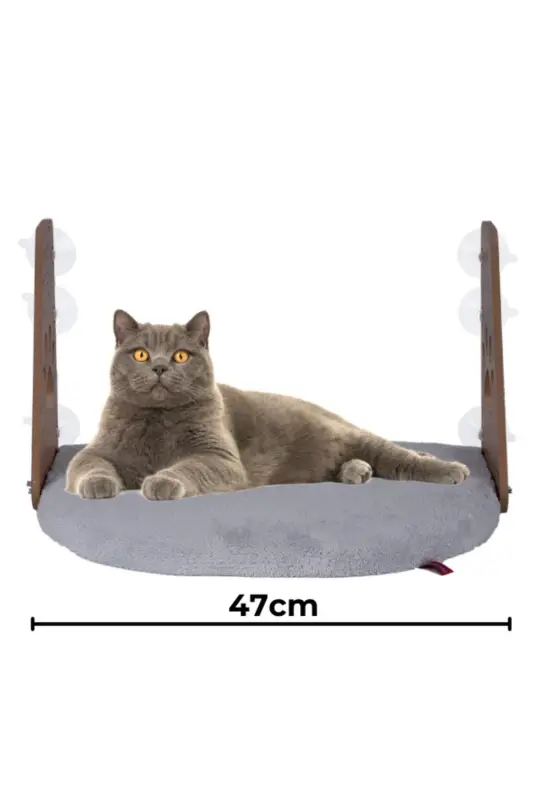 Glass Bed Suction Cup Cat Glass Bed Suction Cup Bed Gray-Gray - 1