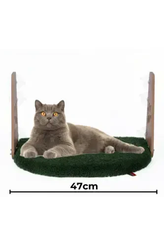 Glass Bed Suction Cup Cat Glass Bed Suction Cup Bed Green-Green - 1