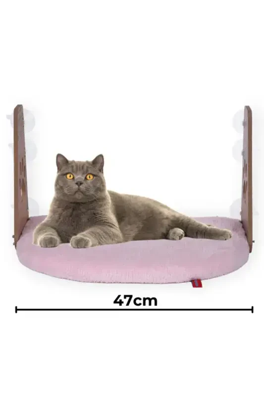 Glass Bed Suction Cup Cat Glass Bed Suction Cup Bed Pink-Pink - 1
