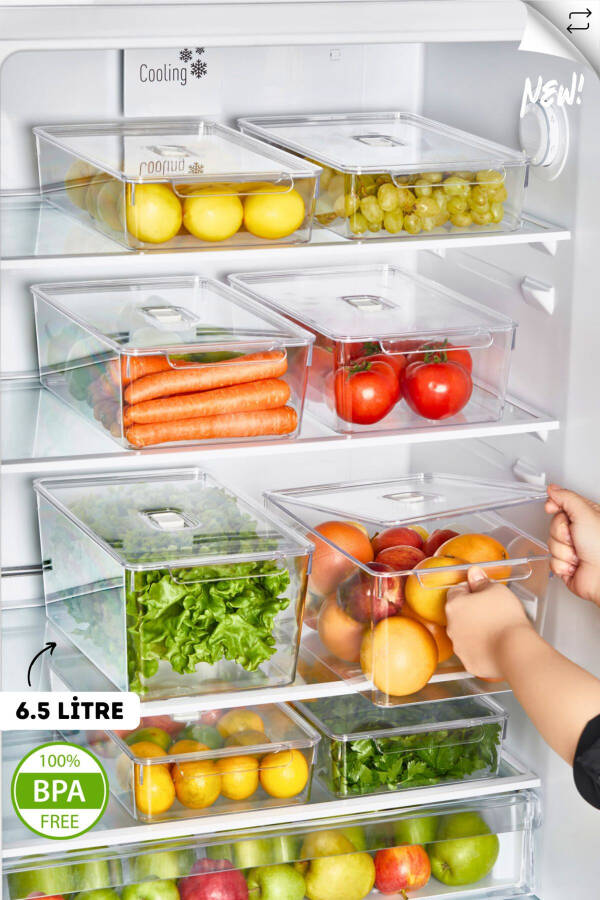 Gloss 2-Pack XXL Lidded Refrigerator & Cabinet Organizer - 7