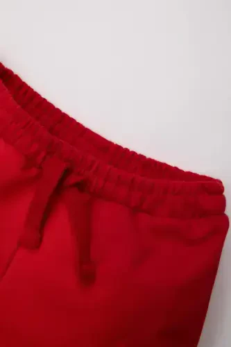 Go'dak bola Tigerli Short C0980A524SM - DEFACTO (1)