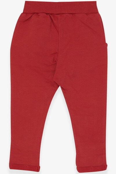 Go'dak bolalar uchun armali Basic shim 9 oy-3 yosh, Terakota - BREEZE (1)