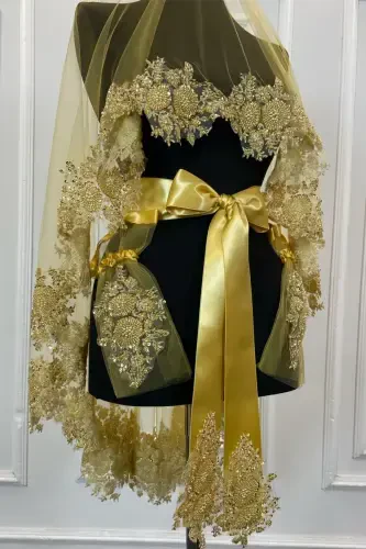 Gold Vip Bridal Veil Set, Henna Veil Cover Set-Gold - 3