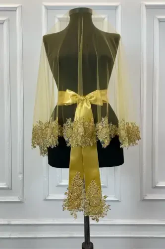 Gold Vip Bridal Veil Set, Henna Veil Cover Set-Gold - 5