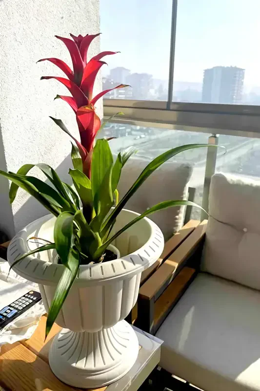 Горшок для цветов Serinova Нарцисс 6 литров грязно-белый с ножкой из пластика - 6