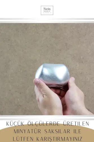 Gulzorda Dekorativ Kaktus Gulzori 1 Dona Kumush Rangli Amaliy Model 14-KUMUSH - 3