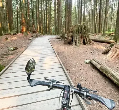 Hafny New Bar End Bike Mirror, HD Glass Lens, Ajustable & Rotatable Safe Rearview Bicycle Mirror, Blast-Resistant, HF-M6002-FR08 (Blue Glass (Universal Left or Right), 1 pc) - 5