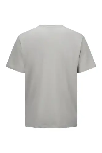 Haki Regular Fit Pamuklu Bisiklet Yaka Tişört-Haki - 2