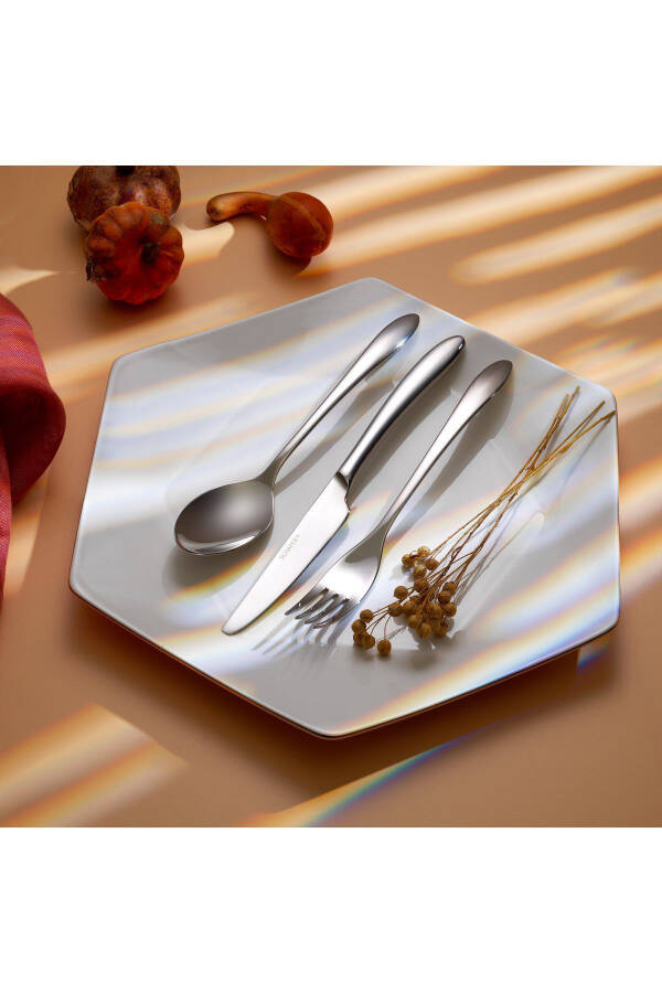 Hamburg Cutlery Set - 72 Pieces - Silver - 1