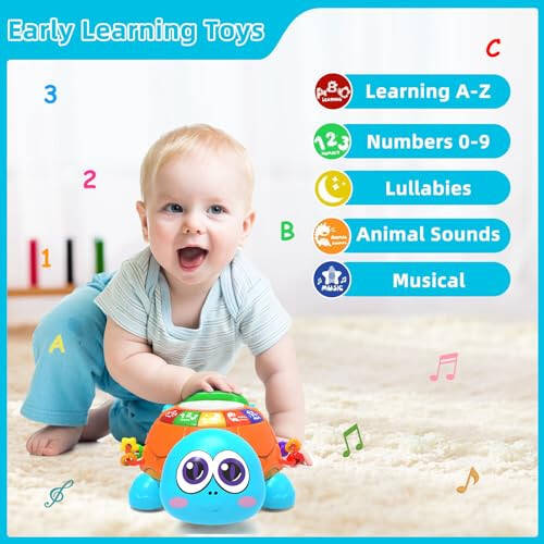 Hanayo Baby Toys 6 to 12 Months，Musical Turtle Crawling Girl Toys for 12-18 Months,Infant Early Learning Educational Toy,Girl & Boy Gift Essentials for Newborn 7 8 9 11+ Months 1-2 Year Old(Blue) - 2