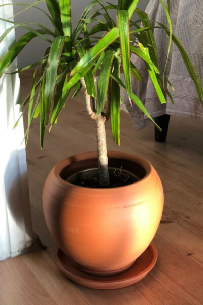 Handcrafted Natural Drainable Decorative Terracotta Pot with Saucer - WOOSEN
