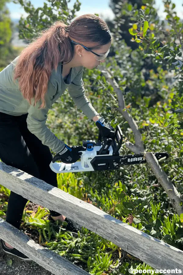 HART 20 Volt 12-Inch Cordless Chainsaw (1) 20-Volt 4.0Ah Lithium-Ion Battery- - 14