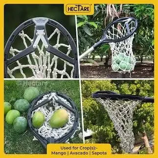 Hectare Lightweight Modazone Fruit Picker/Harvester with 4 Replaceable Sharp Blades| Cotton net| Fruit Harvester, Composite Material | Without Pole - 2