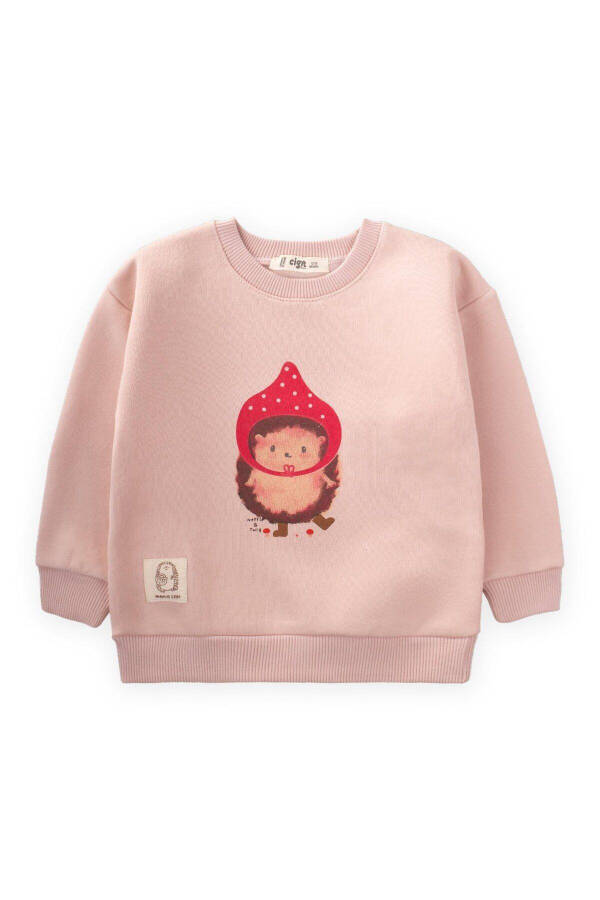 Hedgehog Printed Sweatshirt 1-7 Years Powder Pink - 4