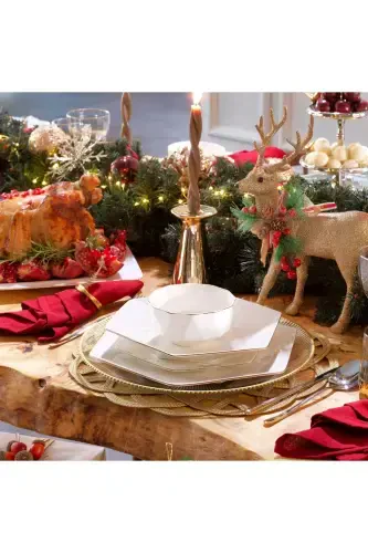 Hexa Ovqat To'plam 56 Donagacha Gold - SCHAFER (1)