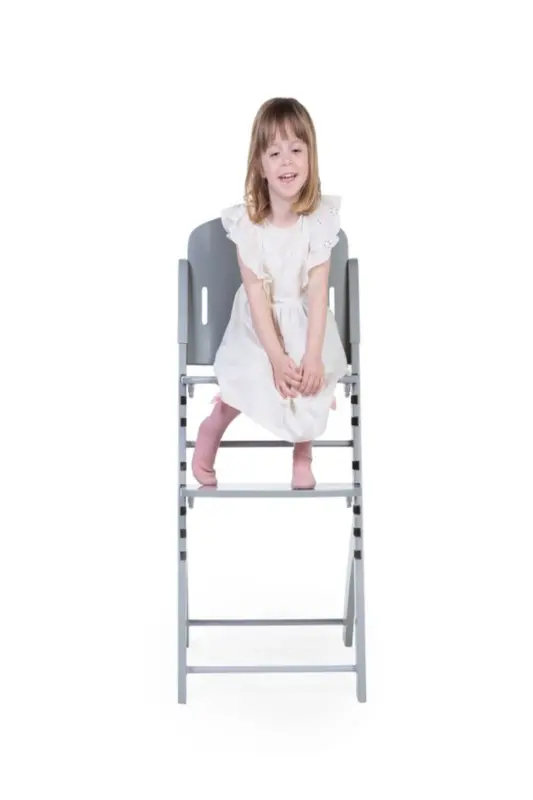 High Chair Evosit - Gri - 3
