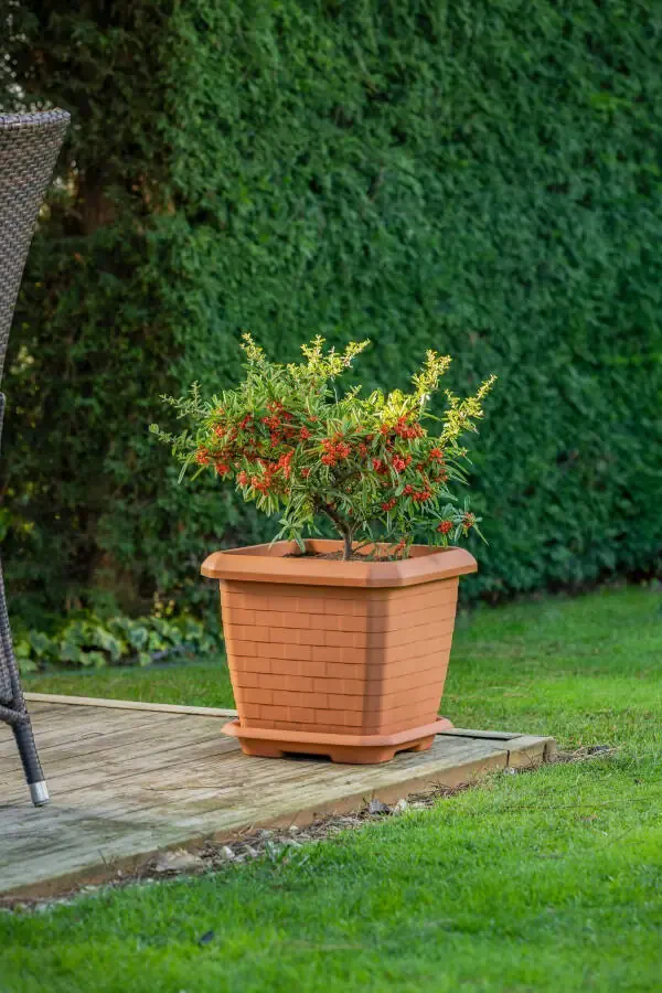 Hisar Square Planter 25.3 Lt Outdoor And Indoor Planter - 1