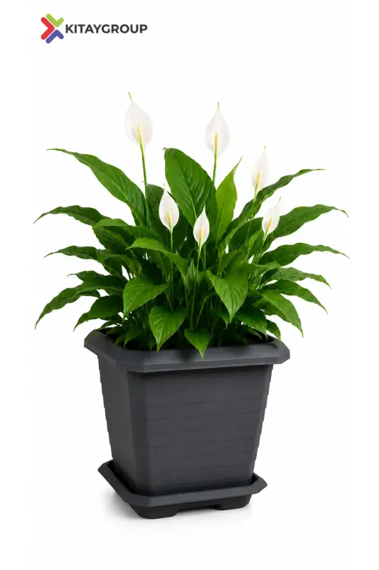 Hisar Square Pot 25,3 Lt - Outdoor And Indoor Pot-DARK ANTHRACITE - 1