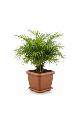 Hisar Square Pot 25.5 Lt Tile-Orange - 1