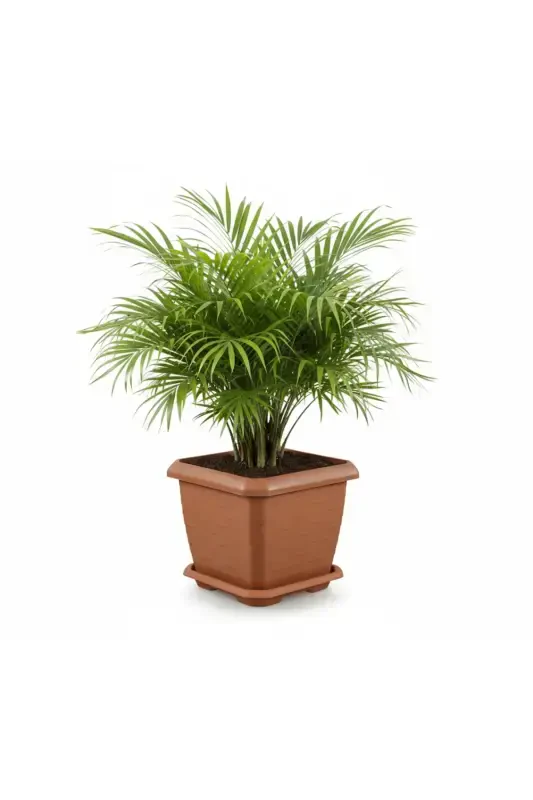 Hisar Square Pot 25.5 Lt Tile-Orange - 1