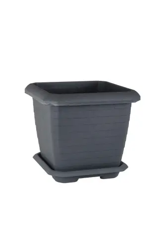 Hisor Kvadrat Gultuvak 25,3 Lt - Tashqi Va Ichki Makon Gultuvagi - TO'Q KO'MIR - 2