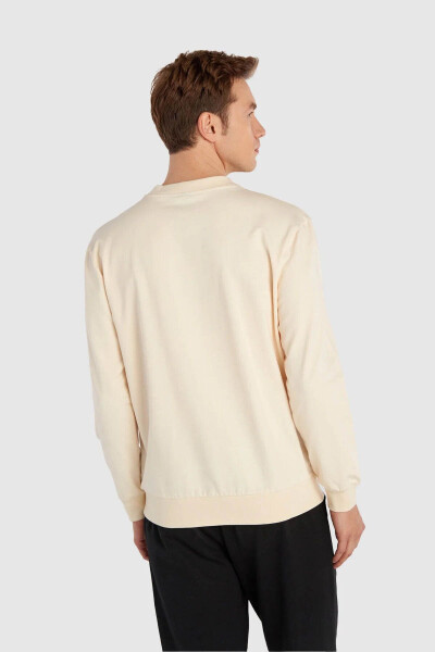 Hmlgilberto Men's Beige Sweatshirt 921964-9820 - 3