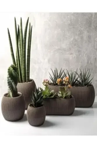 Home Decoration Karasu Decorative and Modern Coral Pot Set 5 Pieces-BROWN - 4