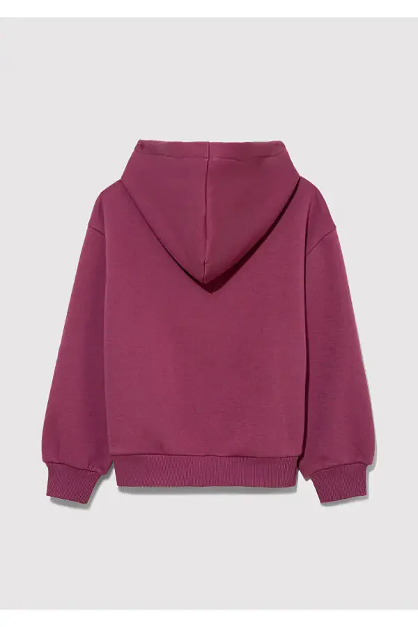 Hooded Purple Sweatshirt with Logo Print - 3