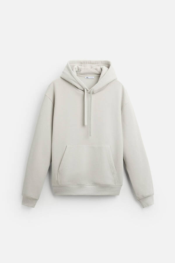 Hooded Sweatshirt - Ice - 25