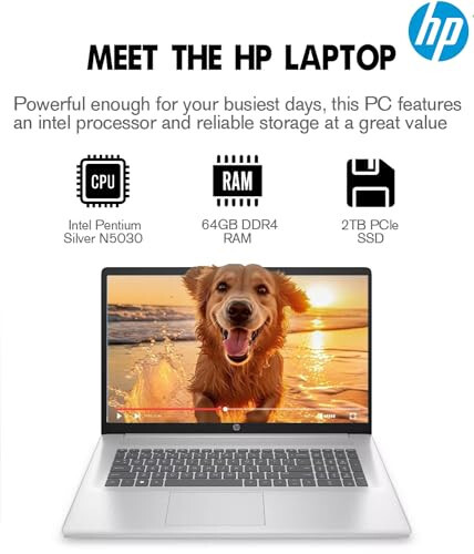 HP 2024 En Yeni 17 İnç Dizüstü Bilgisayar, 17.3” HD+ Dokunmatik Ekranlı Dizüstü Bilgisayar, Intel Pentium Silver N5030, 64GB DDR4 RAM, 2TB SSD, Windows 11, 1 Yıllık Office 365, Uzun Pil Ömrü, Web Kamerası, Wi-Fi, USB-C, Gümüş - 10