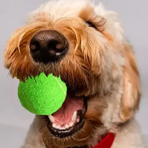 HPWFHPLF Tennis Balls, 12 Pack Advanced Training & Practice Tennis Balls for Beginners, Pet Dogs Playing Balls, Includes Mesh Carry Bag - 7